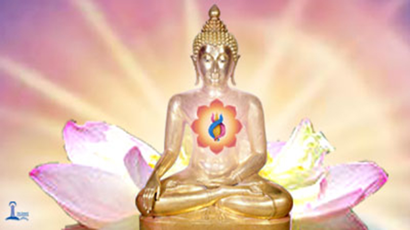 Buddha Way of Peace