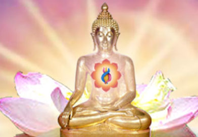 Buddha Way of Peace