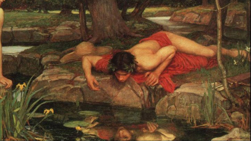 Narcissus